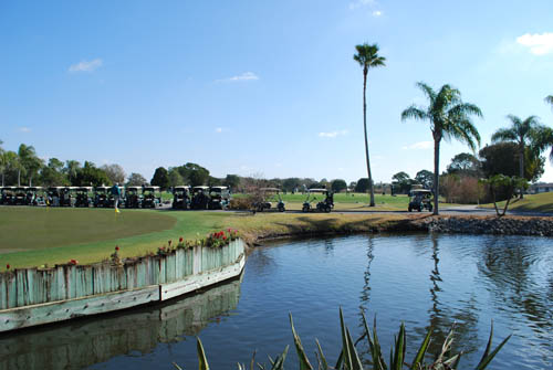Sarasota Image